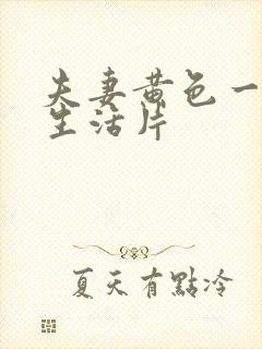 夫妻黄色一级性生活片