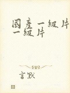 国产一级片内射一级片