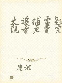 大追捕电影在线观看免费完整版