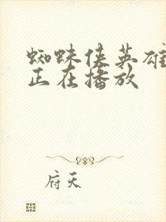 蜘蛛侠英雄无归正在播放