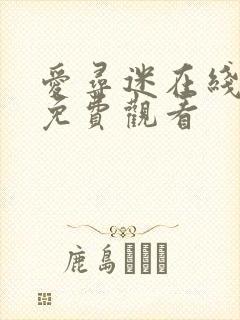 爱寻迷在线完整免费观看