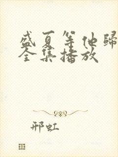 盛夏等他归短剧全集播放