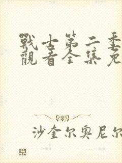 战士第二季在线观看全集免费播放