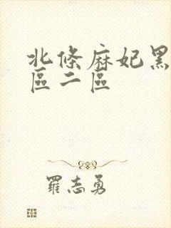 北条麻妃黑人一区二区