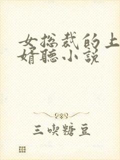 女总裁的上门龙婿听小说