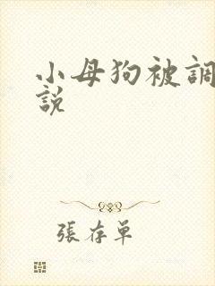 小母狗被调教小说封面