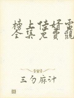 榜上佳婿电视剧全集免费观看高清