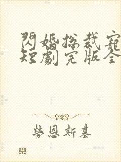 闪婚总裁宠上天短剧完版全集封面