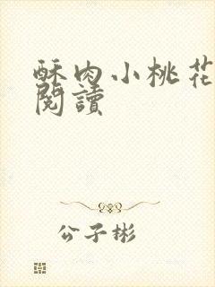 酥肉小桃花全文阅读封面