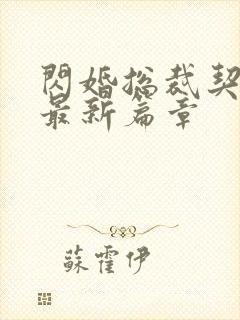 闪婚总裁契约妻最新篇章