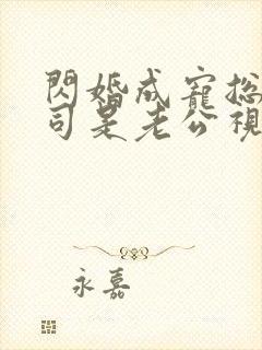 闪婚成宠总裁上司是老公视频