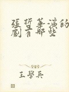 张哲华演的电视剧有哪些