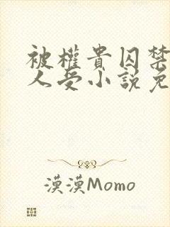 被权贵囚禁的美人受小说免费阅读下