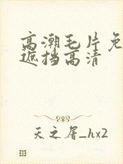 高潮毛片免费无遮挡高清封面