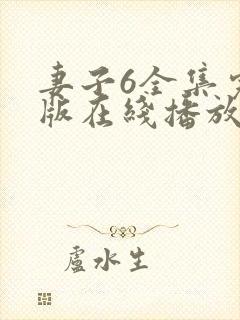 妻子6全集完整版在线播放封面