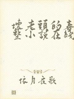 坏老头的春天完整小说在线阅读下载