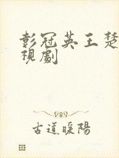 彭冠英王楚然电视剧