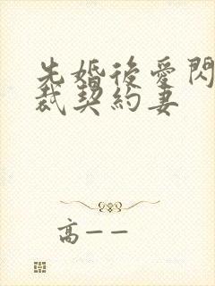 先婚后爱闪婚总裁契约妻