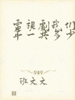 电视剧我们这十年一共多少集