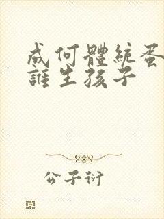 成何体统蛋总和谁生孩子封面
