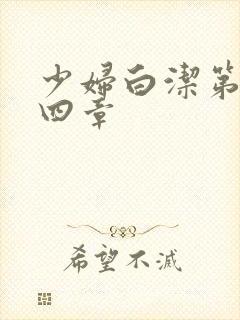 少妇白洁第三十四章