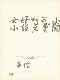 女婿叫我小老婆小说免费阅读无弹窗