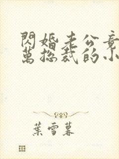 闪婚老公竟是亿万总裁的小说