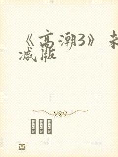 《高潮3》未删减版