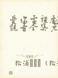 爱你电视剧在线观看全集免费播放