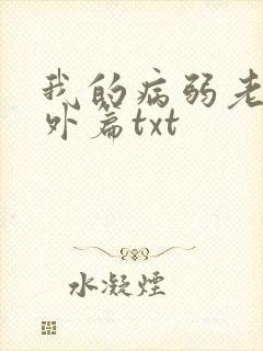 我的病弱老婆番外篇txt