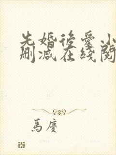 先婚后爱小说无删减在线阅读