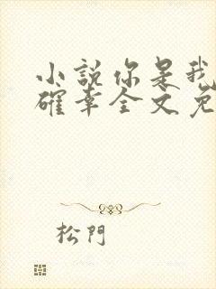 小说你是我的小确幸全文免费阅读