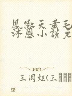 凤傲天黄毛反派沐恩小说免费观看