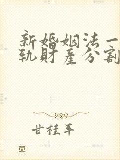 新婚姻法一方出轨财产分割