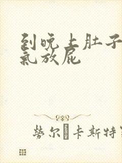 到晚上肚子就胀气放屁