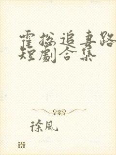 霍总追妻路漫漫短剧合集封面