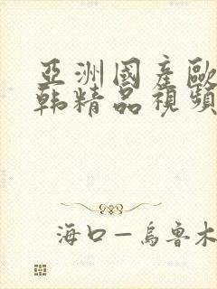 亚洲国产欧美日韩精品视频