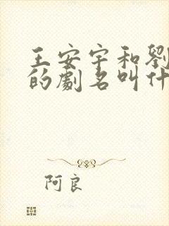 王安宇和刘浩存的剧名叫什么