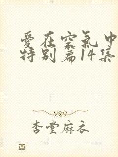 爱在空气中泰剧特别篇14集封面