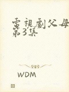 电视剧父母爱情第3集