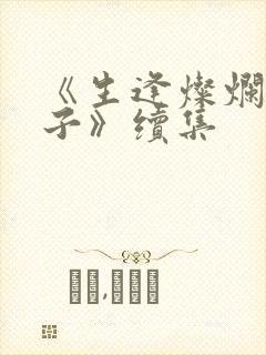 《生逢灿烂的日子》续集封面