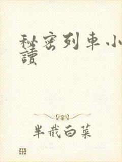 秘密列车小说阅读