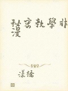 秘密教学非常爱漫封面