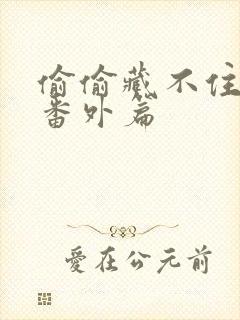 偷偷藏不住婚后番外篇