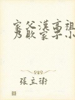 家父汉高祖,吾乃败家子小说txt下载