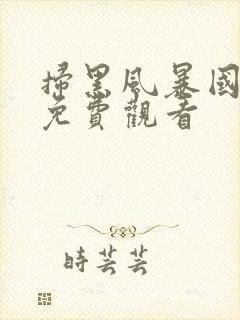 扫黑风暴国语版免费观看封面