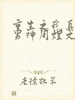 重生之我真不是男神周煜文封面