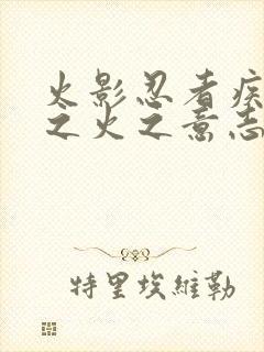 火影忍者疾风传之火之意志的继承者