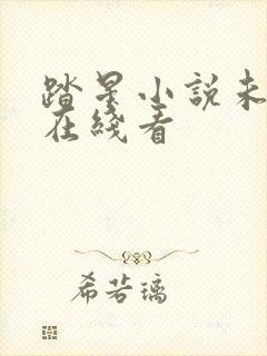 踏星小说未删减在线看封面