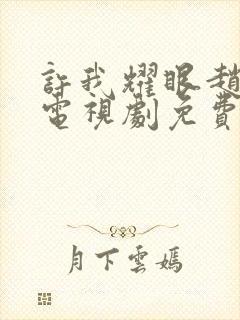 许我耀眼赵露思电视剧免费观看全集在线播放